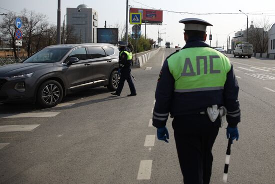 Работа отрядов по контролю за карантином в Краснодаре