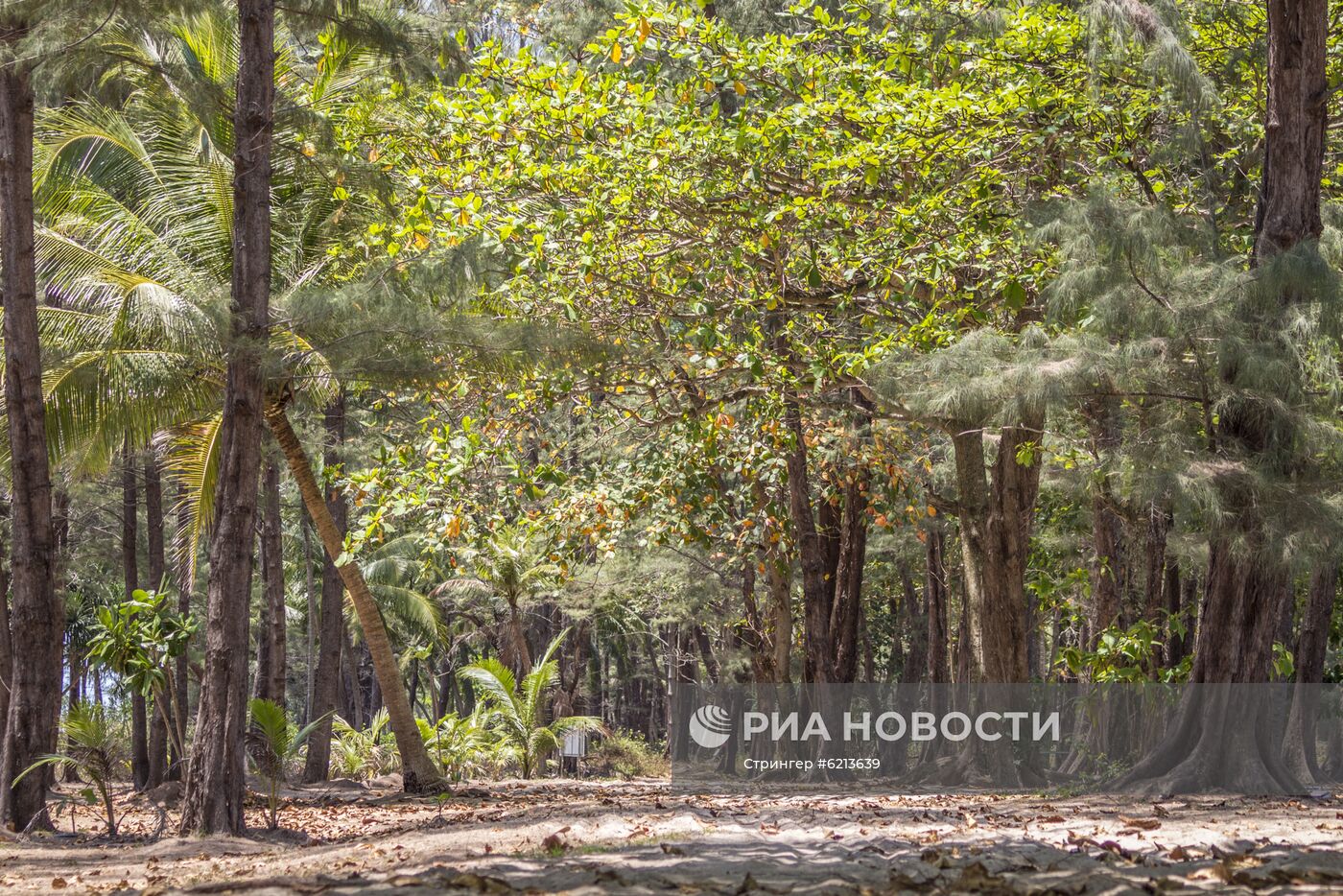 Ситуация в Тайланде в связи с коронавирусом
