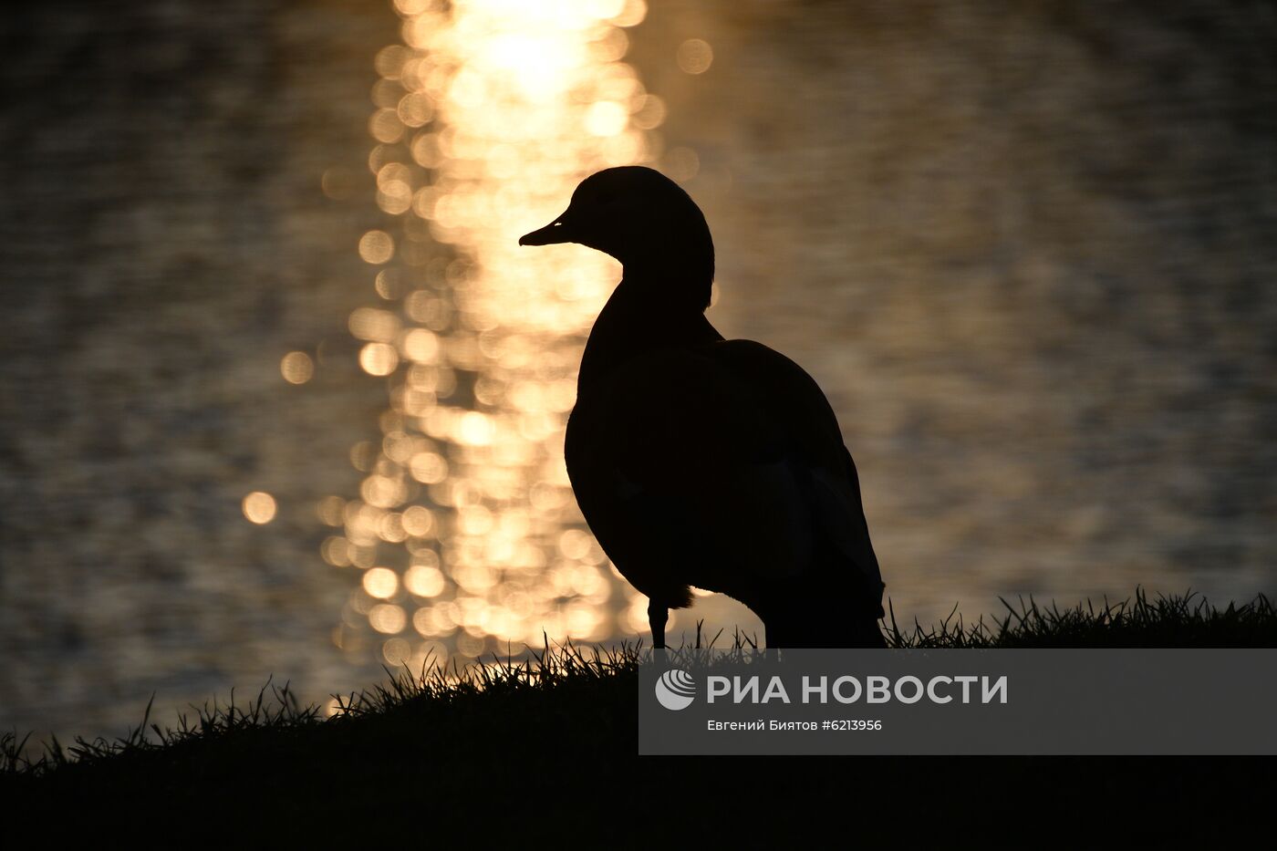 Москва во время режима самоизоляции жителей