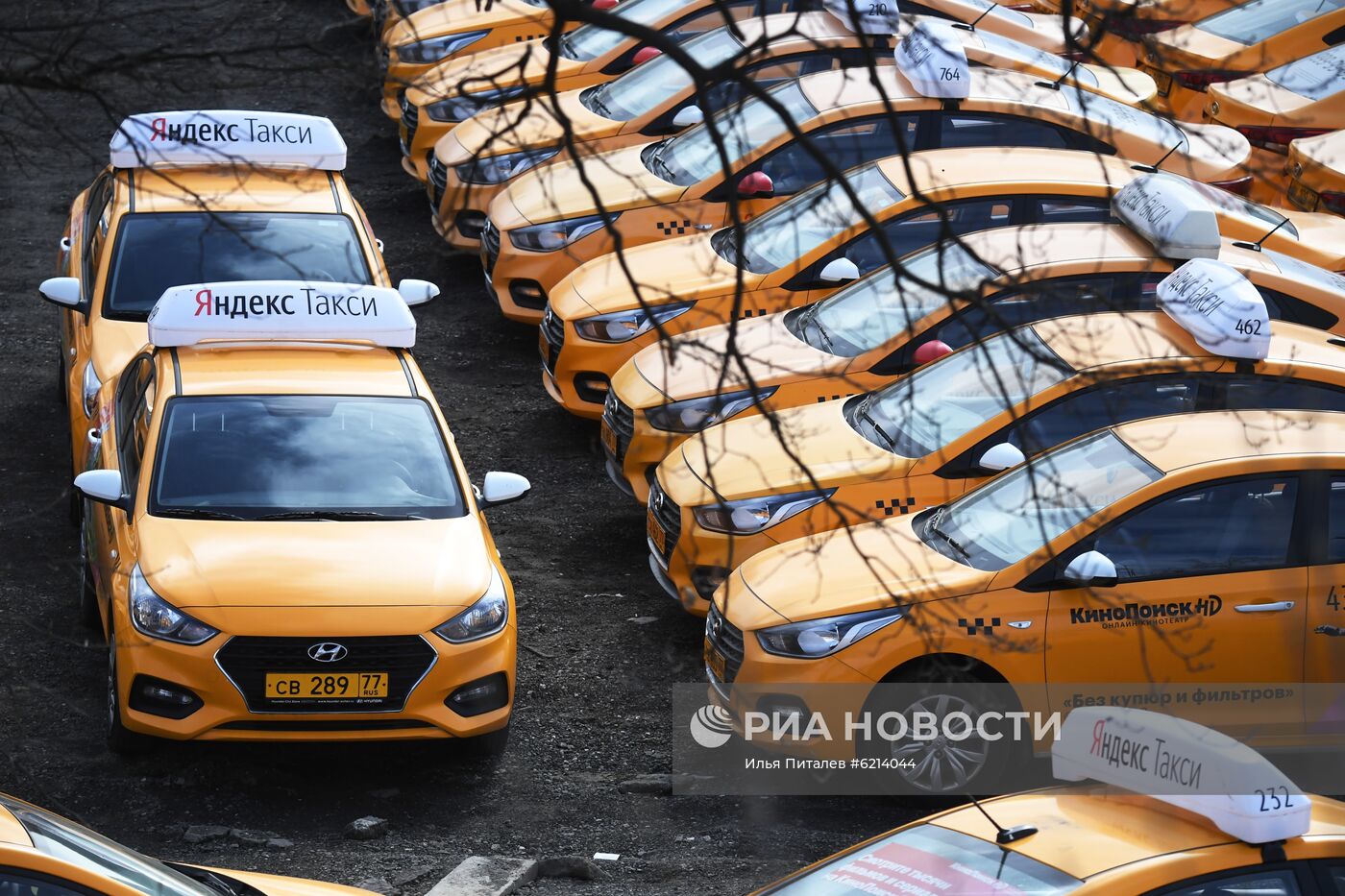 Стоянка автомобилей службы "Яндекс.Такси"