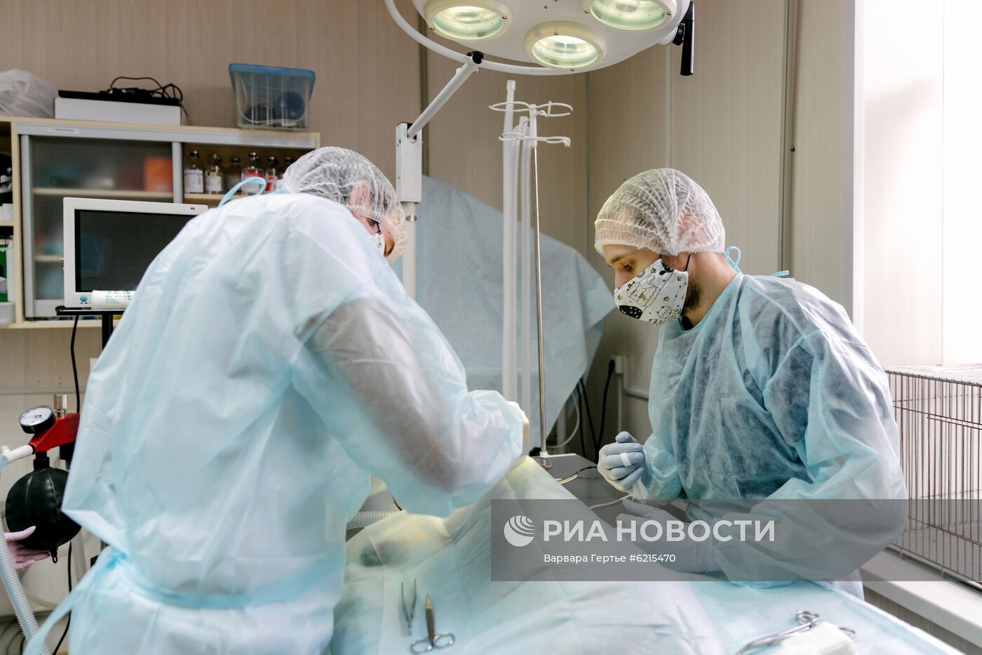 Работа ветеринарной клиники в Иванове