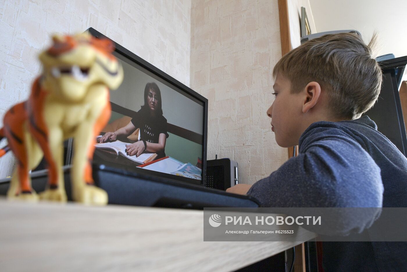 Дистанционное обучение школьников в Санкт-Петербурге