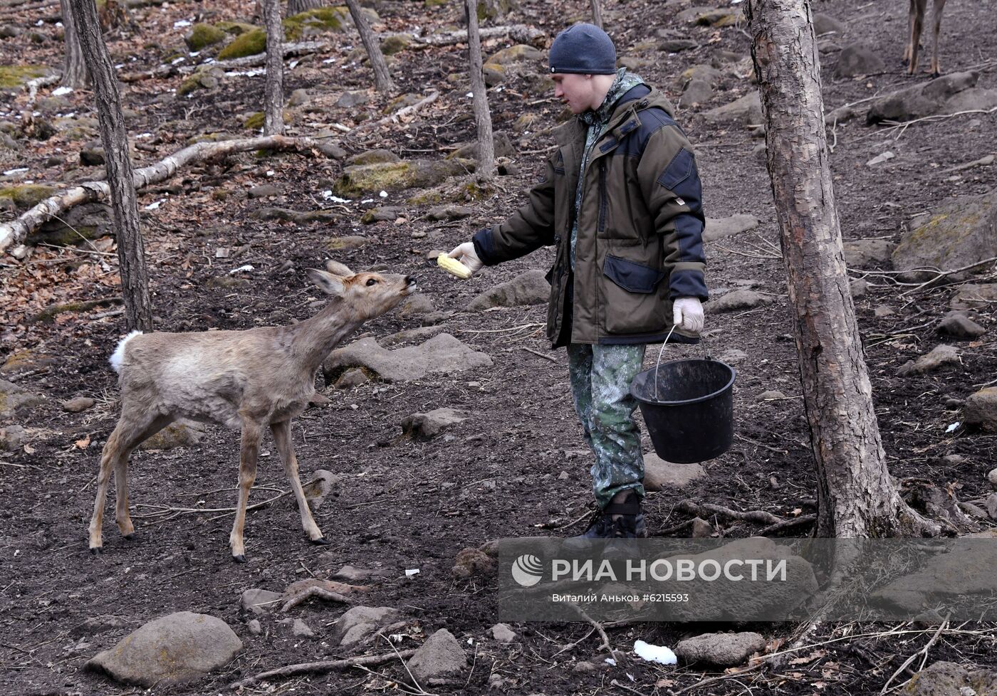 Работа Приморского сафари-парка во время пандемии коронавируса