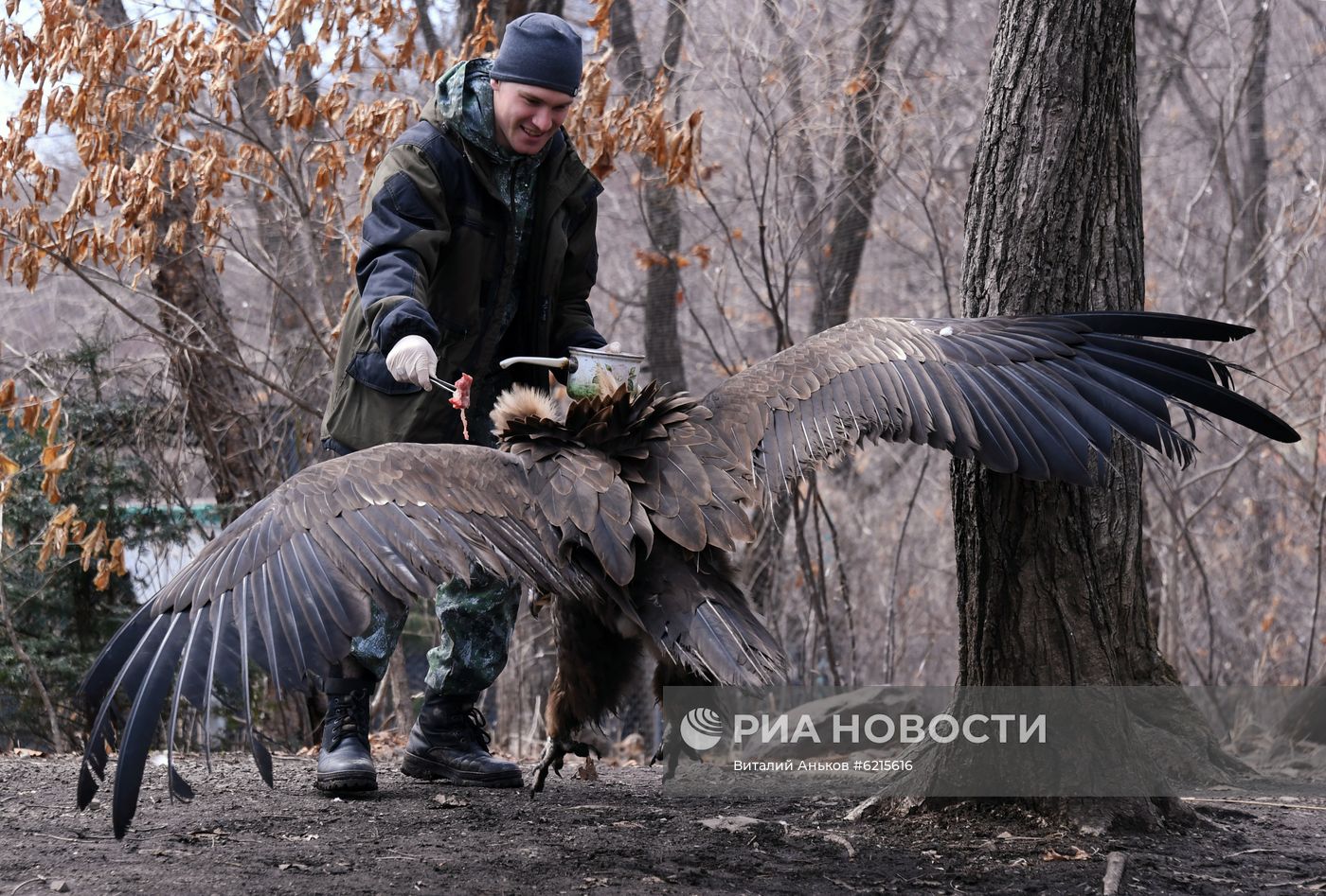 Работа Приморского сафари-парка во время пандемии коронавируса