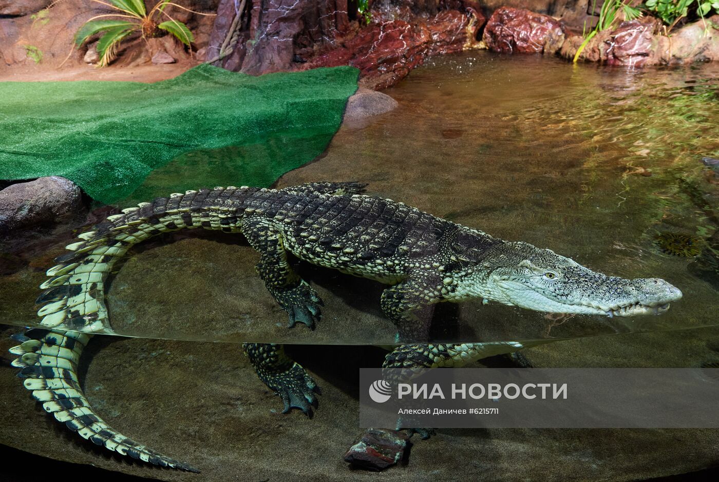 Санкт-Петербургский Океанариум во время пандемии коронавируса