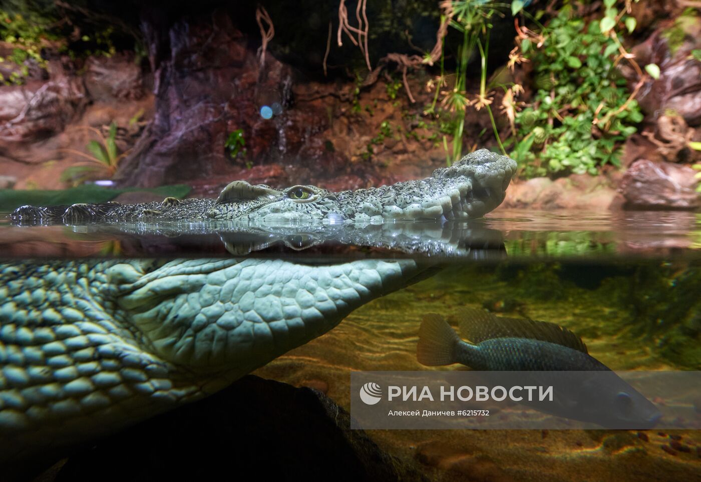Санкт-Петербургский Океанариум во время пандемии коронавируса