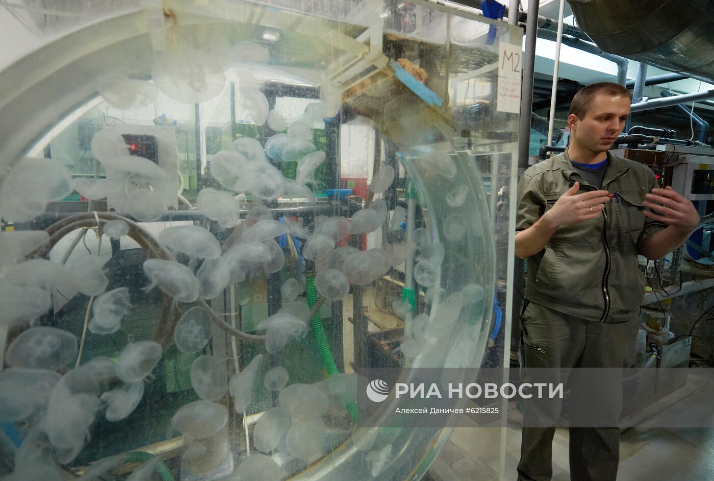 Санкт-Петербургский Океанариум во время пандемии коронавируса