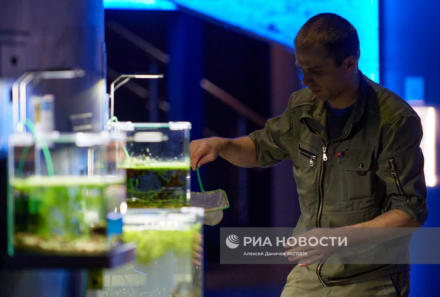 Санкт-Петербургский Океанариум во время пандемии коронавируса