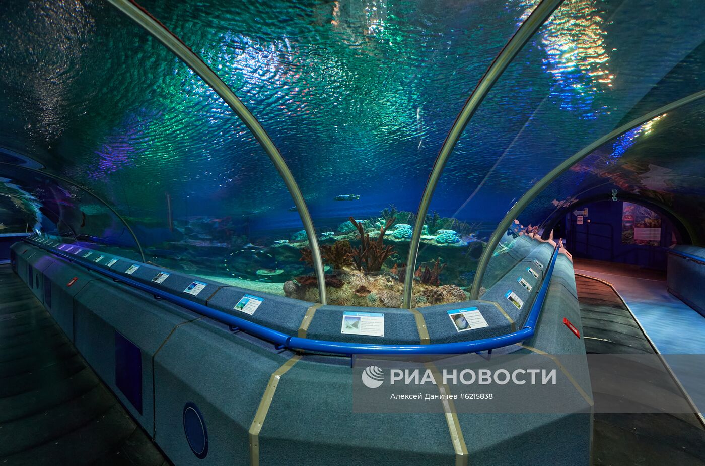 Санкт-Петербургский Океанариум во время пандемии коронавируса