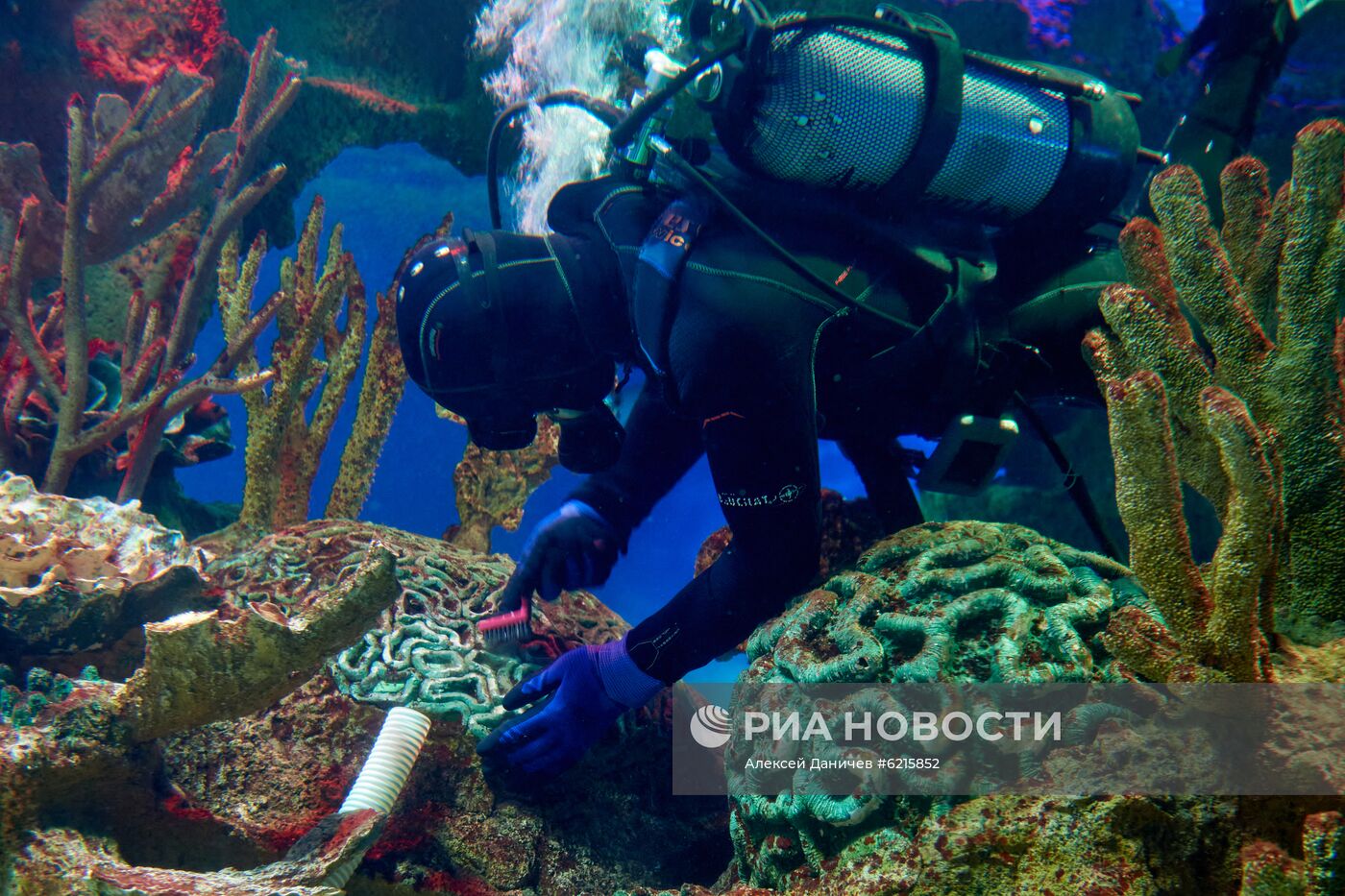 Санкт-Петербургский Океанариум во время пандемии коронавируса
