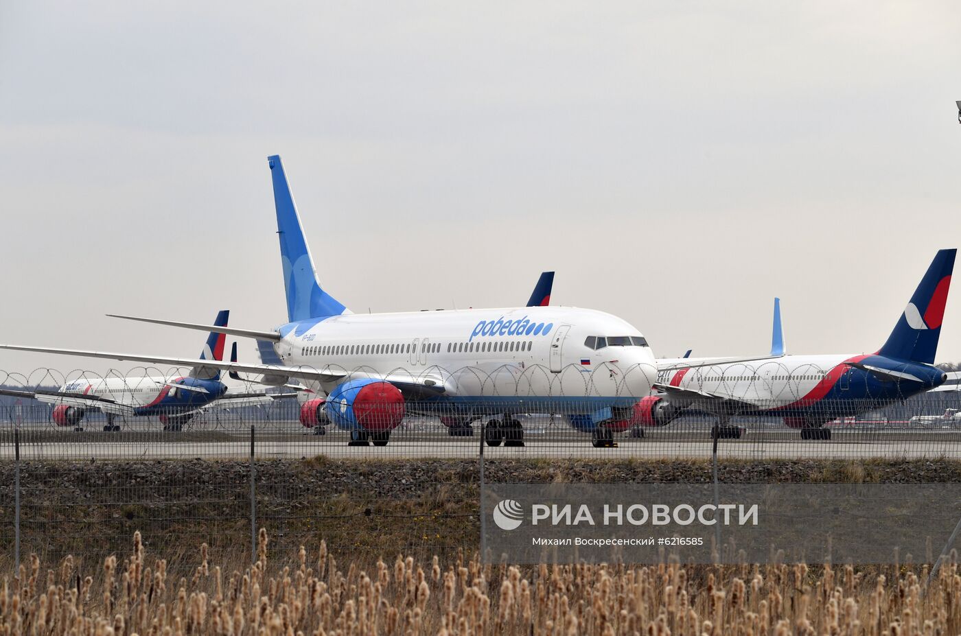 Самолеты на стоянке в аэропорту Внуково