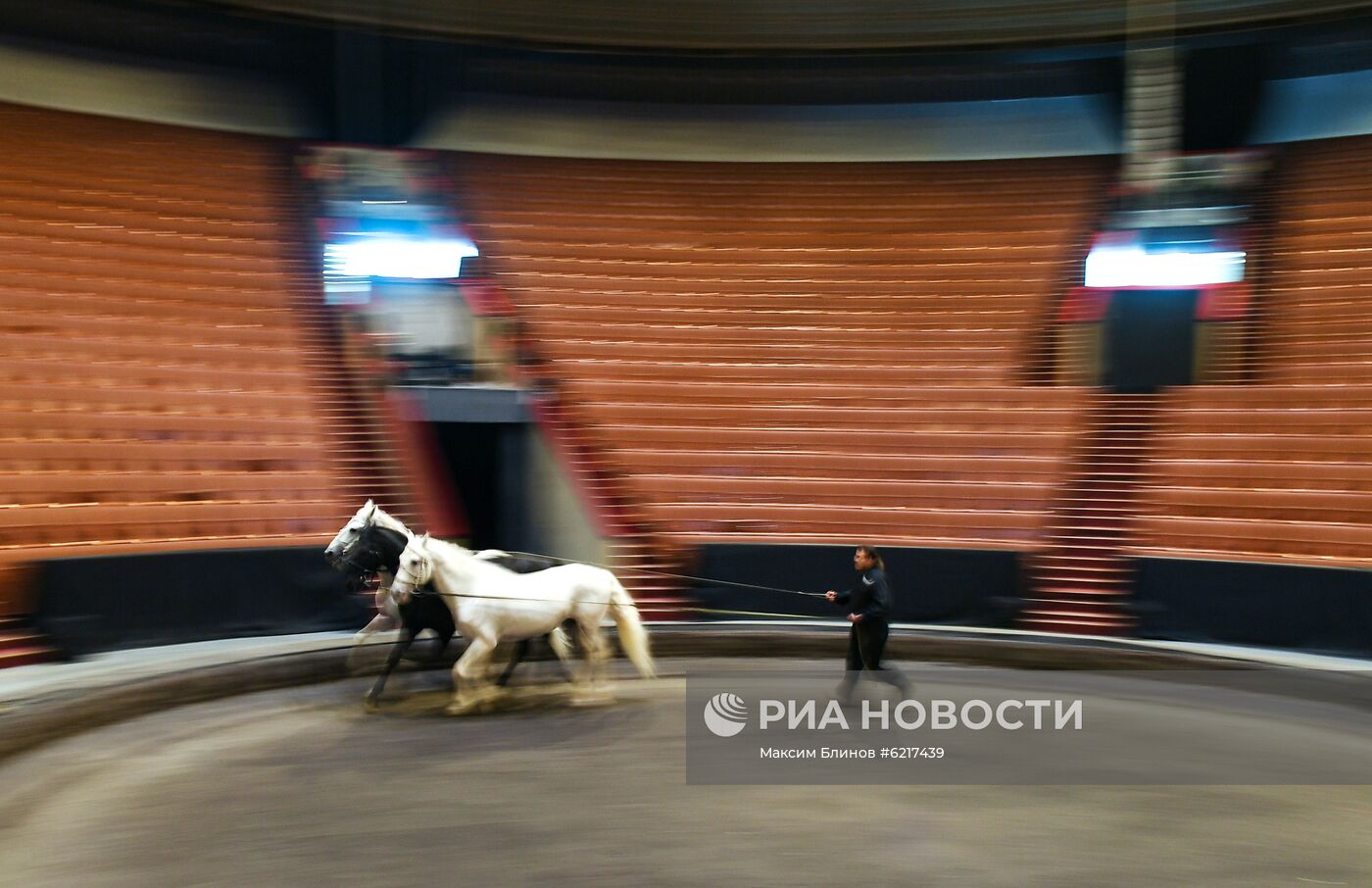 Большой Московский цирк 