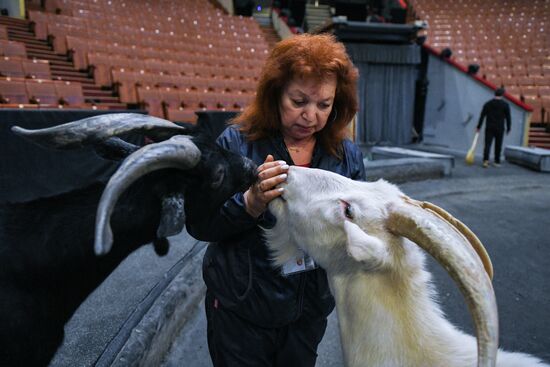 Большой Московский цирк 
