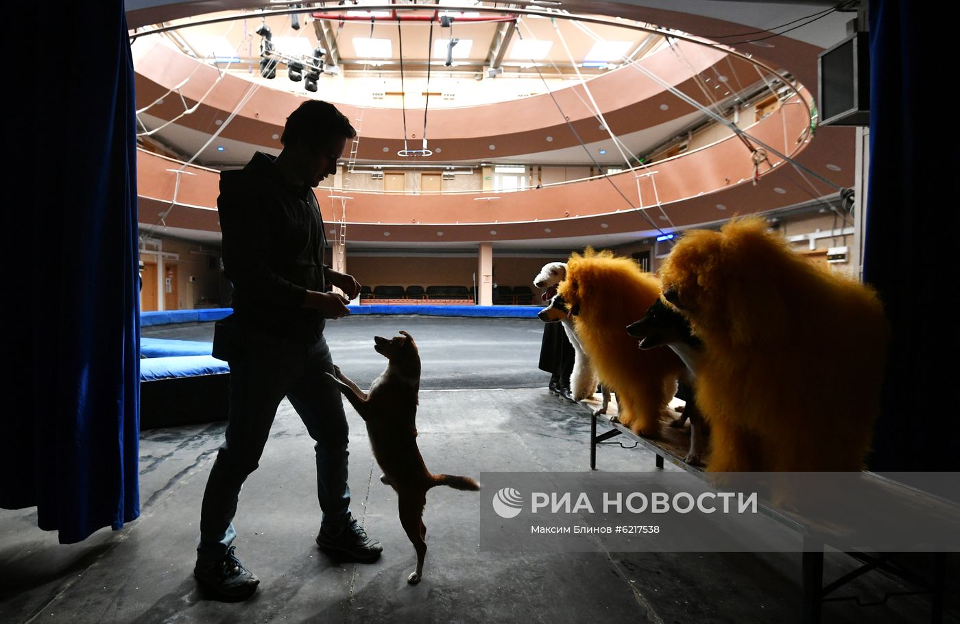 Большой Московский цирк