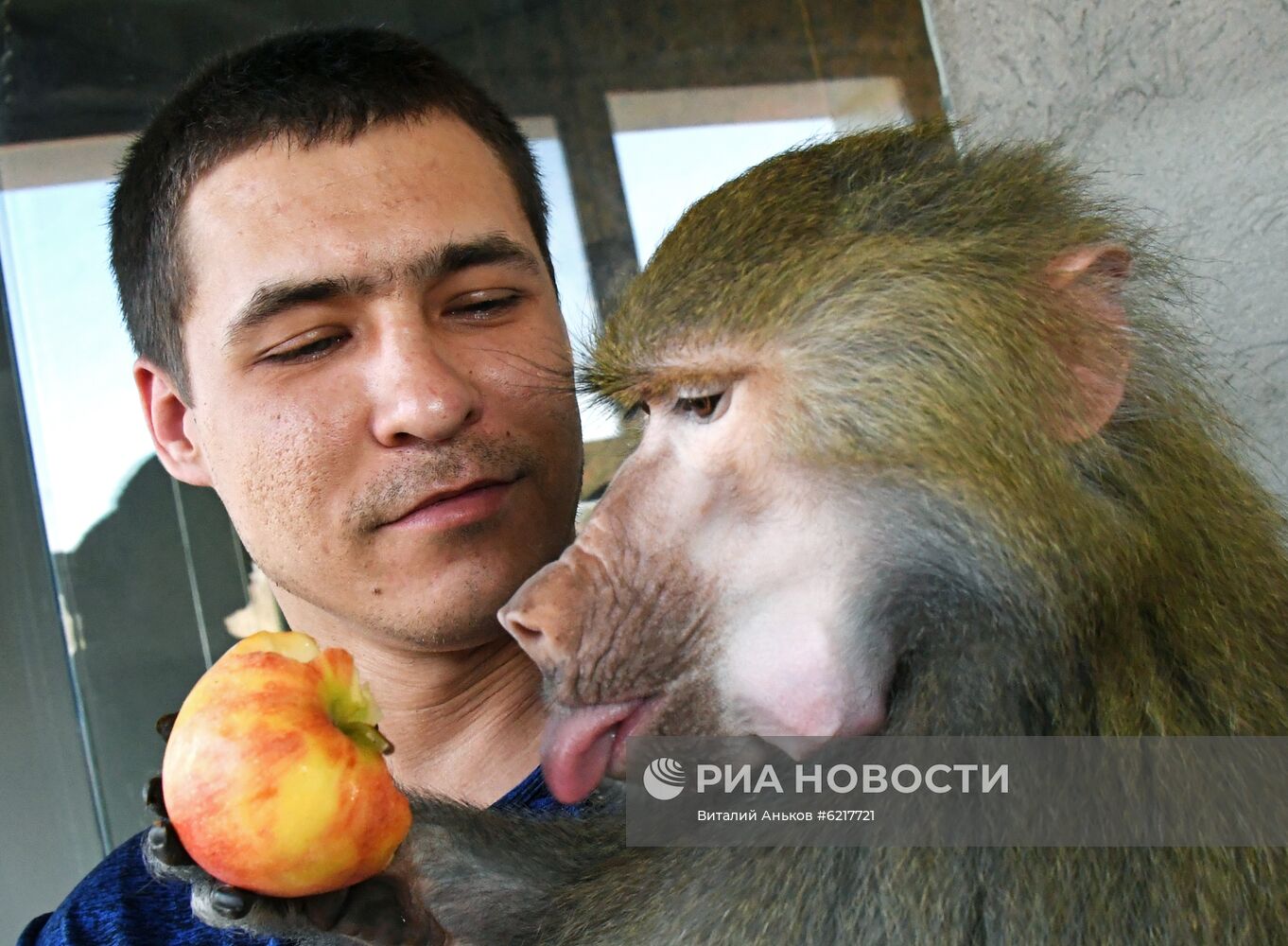 Обезьяны в зоопарке "Садгород" 