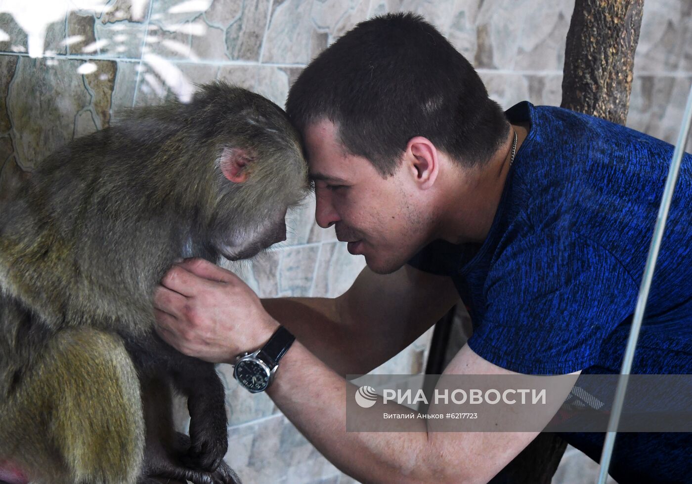 Обезьяны в зоопарке "Садгород" 