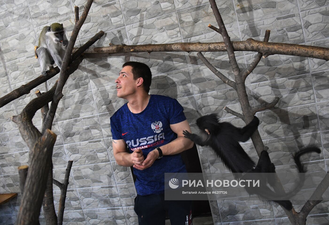 Обезьяны в зоопарке "Садгород"