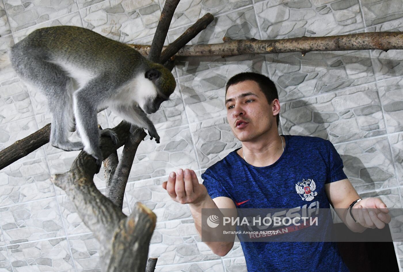 Обезьяны в зоопарке "Садгород"