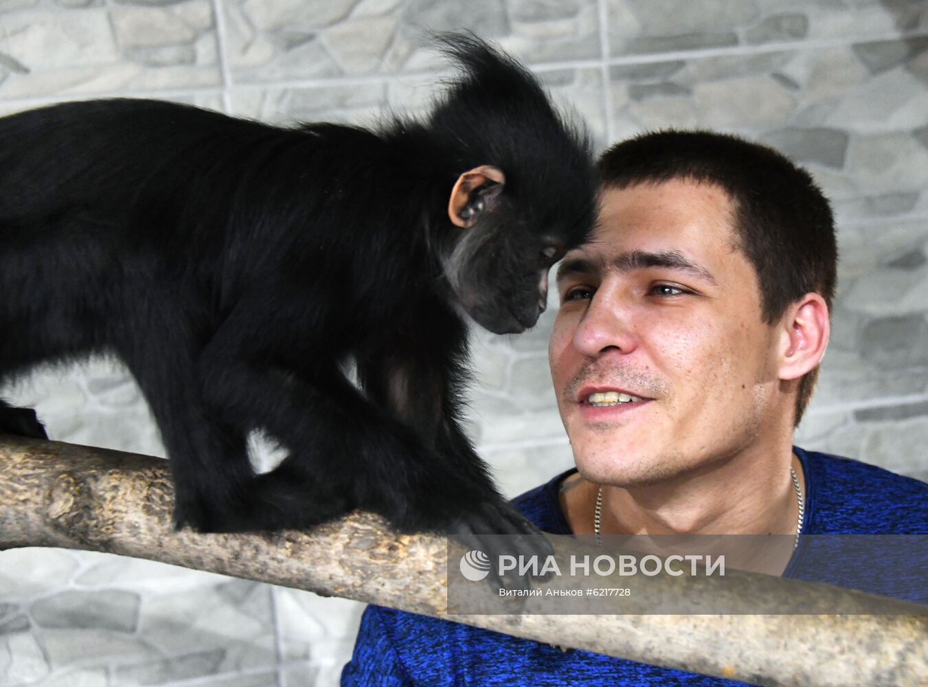 Обезьяны в зоопарке "Садгород"