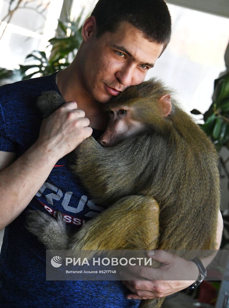 Обезьяны в зоопарке "Садгород" 