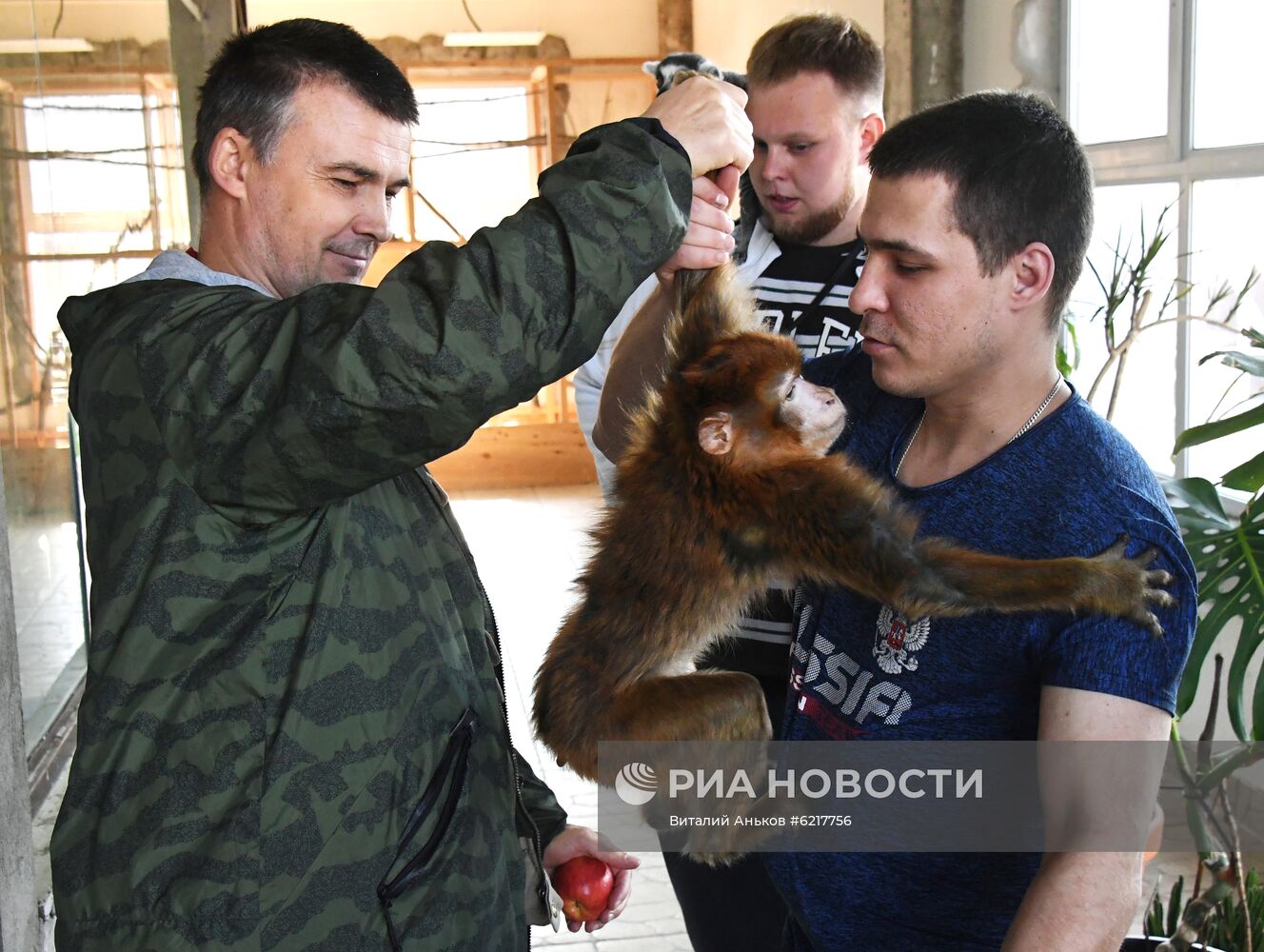 Обезьяны в зоопарке "Садгород" 