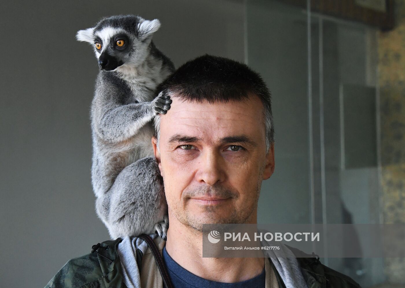 Обезьяны в зоопарке "Садгород" 