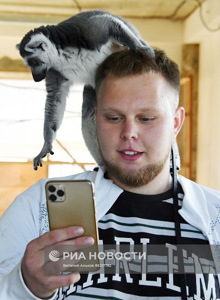 Обезьяны в зоопарке "Садгород"