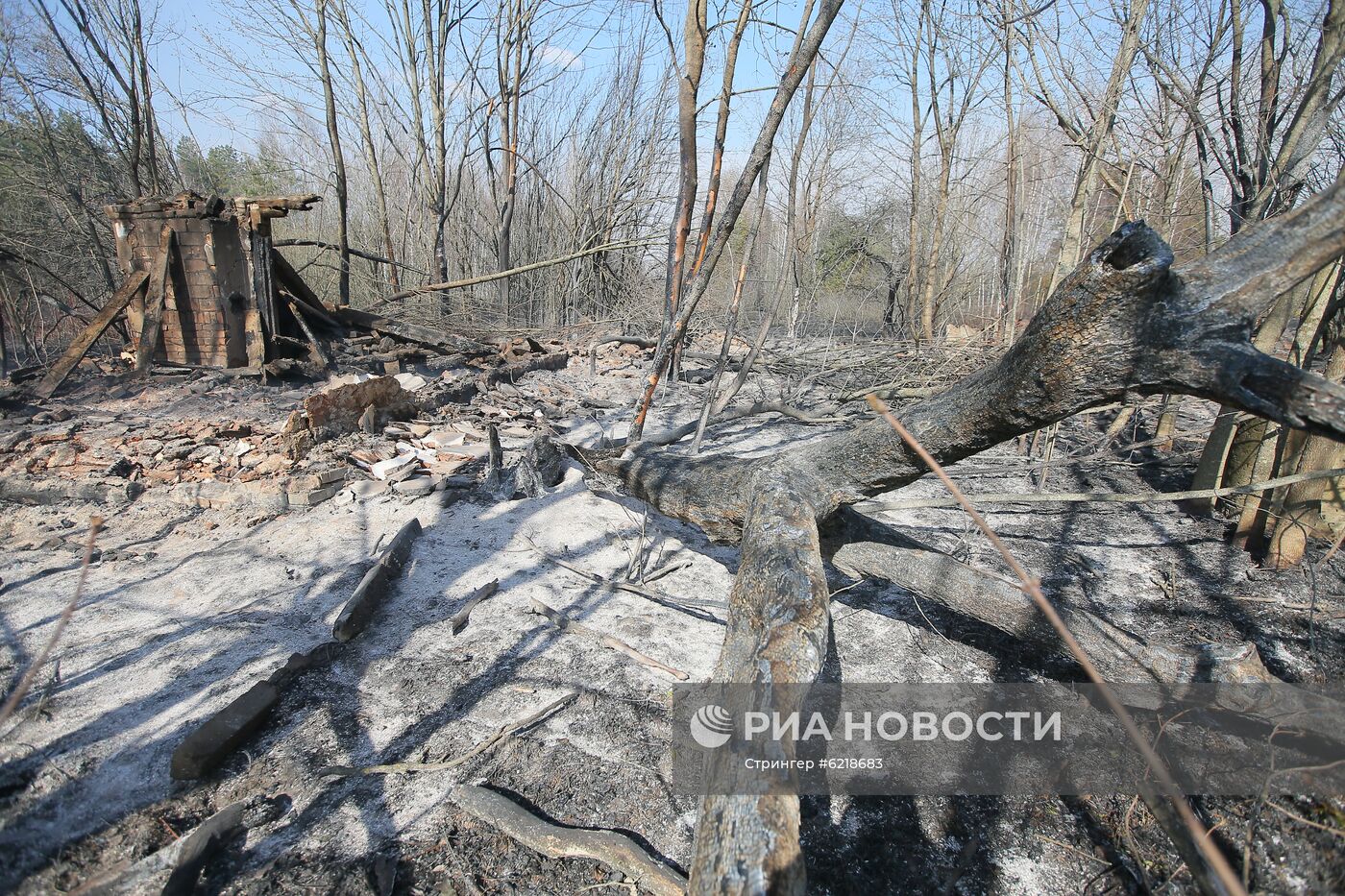 Пожар в зоне отчуждения Чернобыльской АЭС