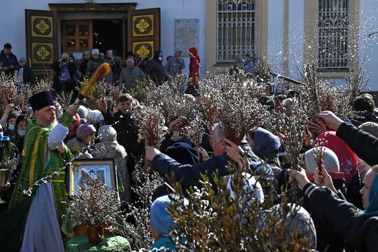 Праздник Вербное воскресенье 