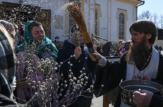 Праздник Вербное воскресенье 