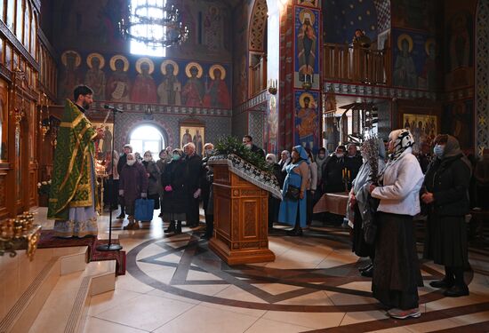 Праздник Вербное воскресенье 