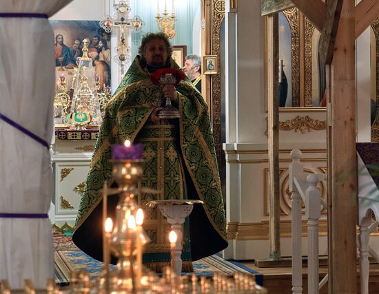 Праздник Вербное воскресенье 