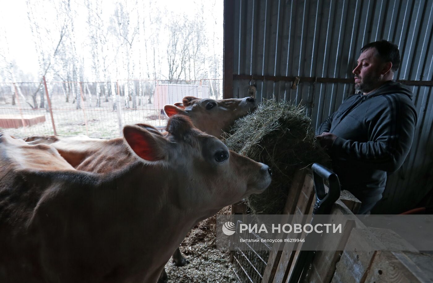 Фермерское хозяйство в Тульской области