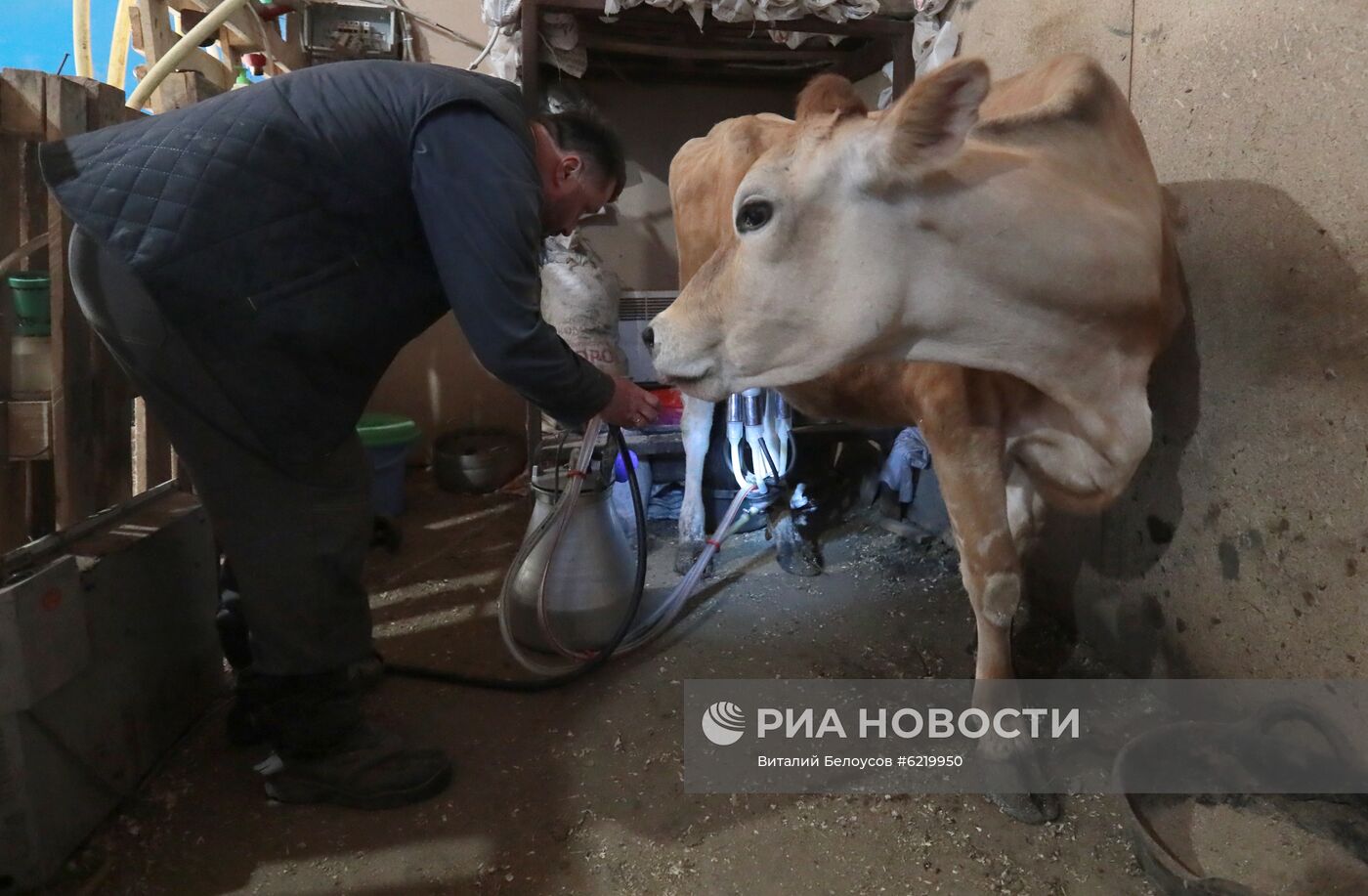 Фермерское хозяйство в Тульской области