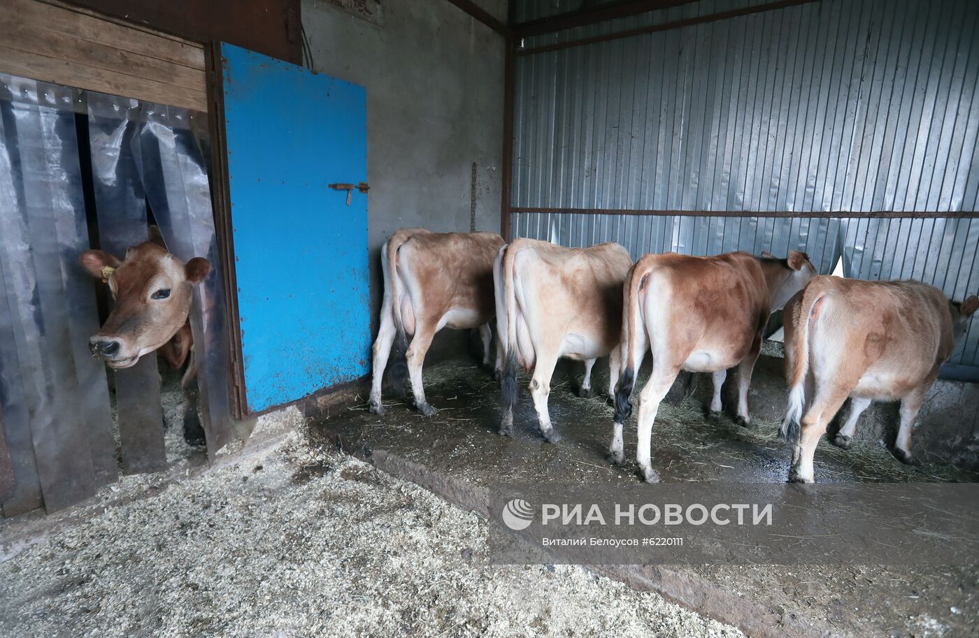 Фермерское хозяйство в Тульской области