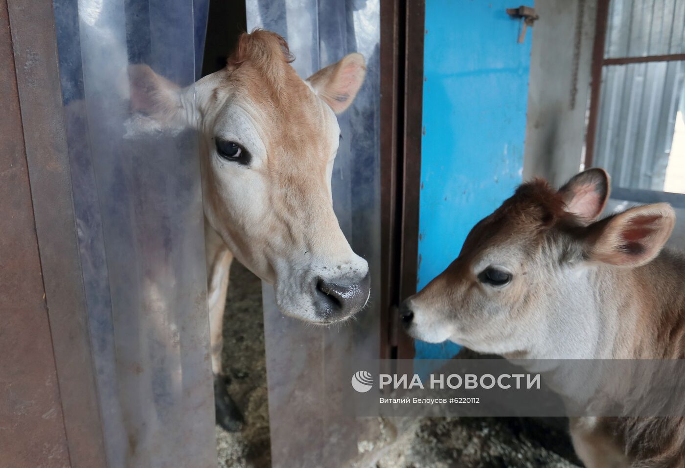 Фермерское хозяйство в Тульской области