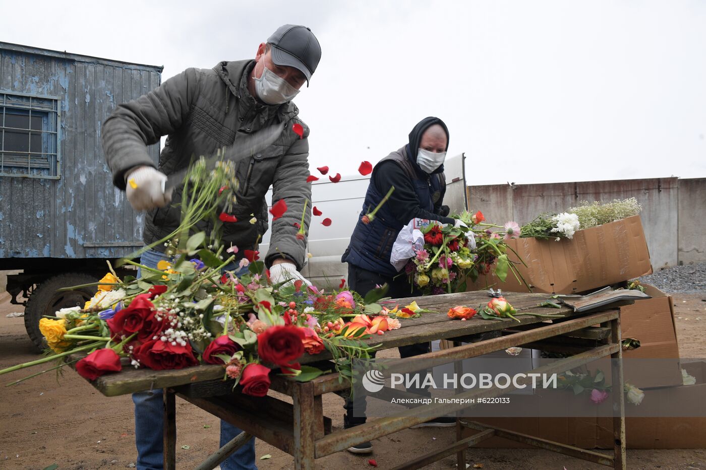 Уничтожение цветов в Санкт-Петербурге из-за запрета на торговлю в условиях пандемии коронавируса