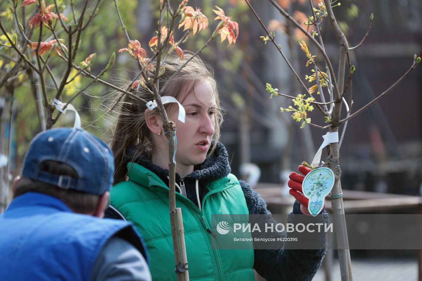 Заокский питомник растений в Тульской области 