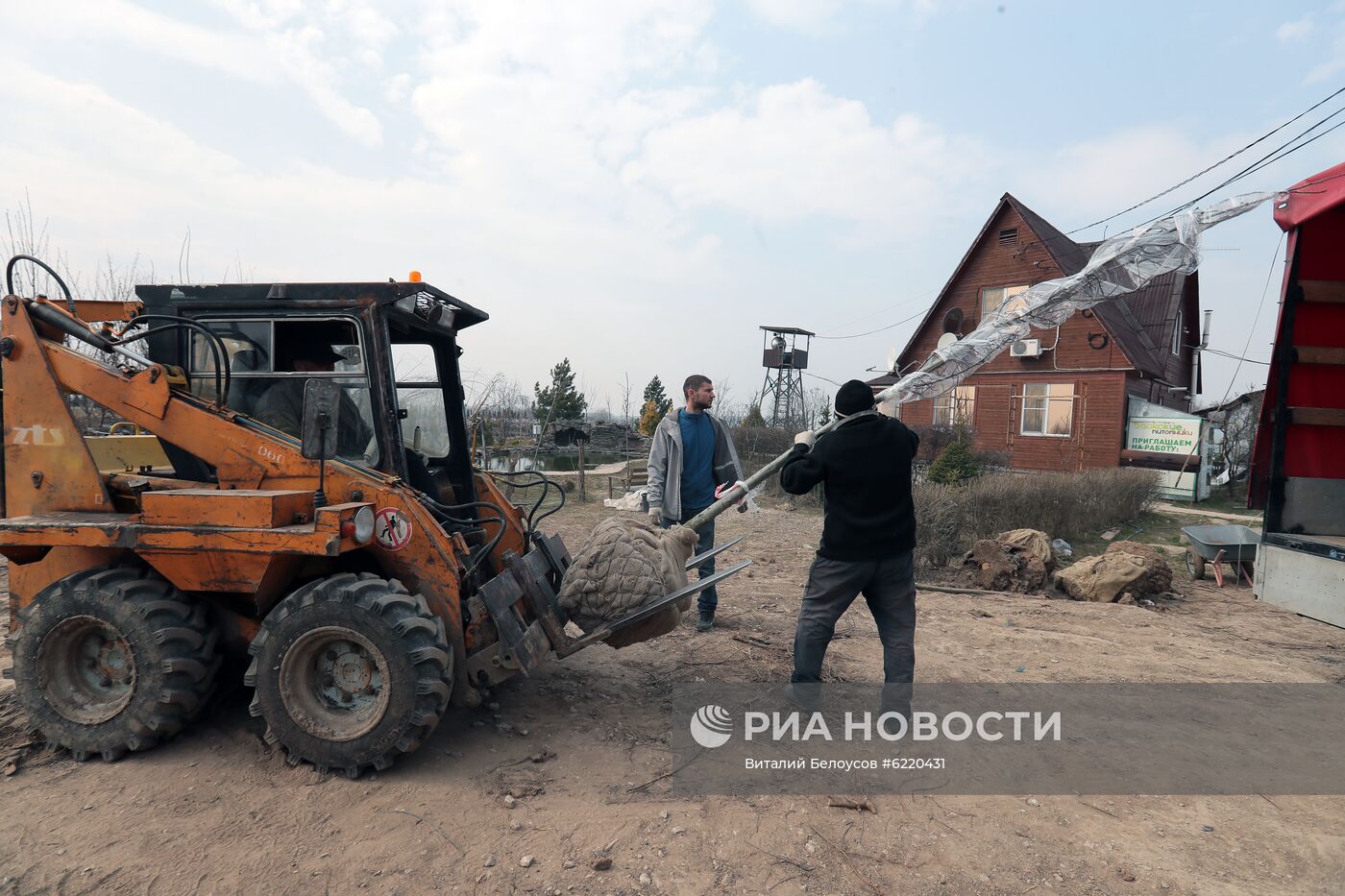 Заокский питомник растений в Тульской области 