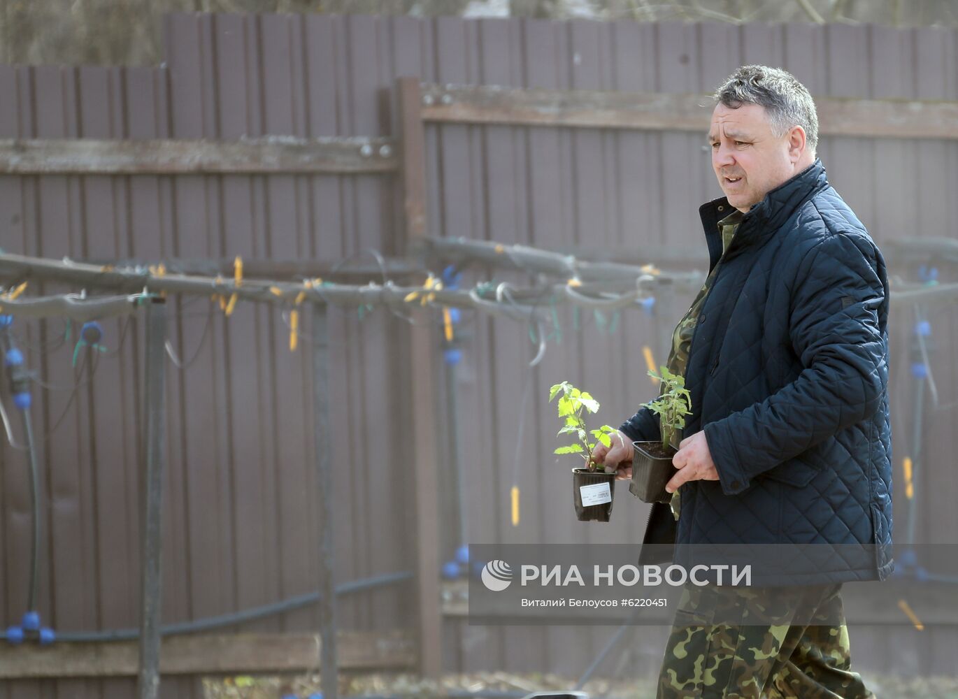 Заокский питомник растений в Тульской области 