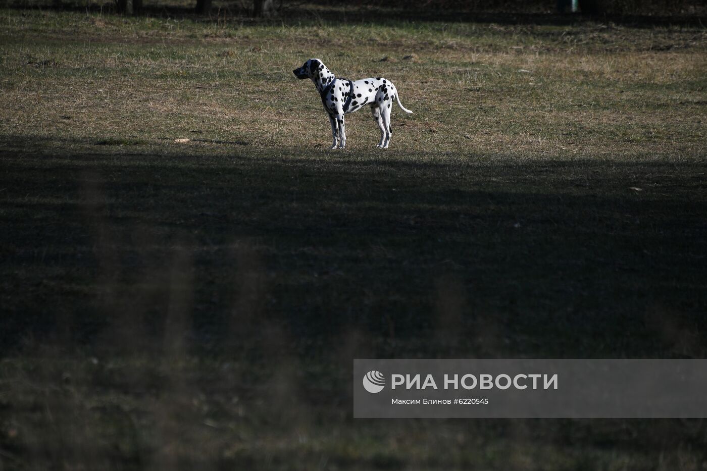 Москва во время режима самоизоляции жителей