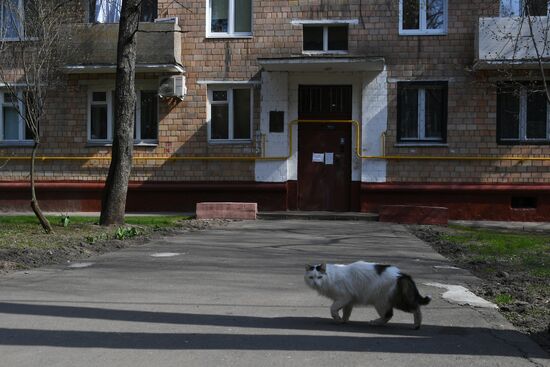 Москва во время режима самоизоляции жителей