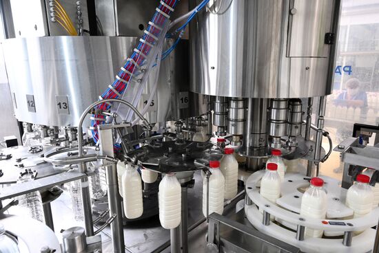 Производство молока в Ростове-на-Дону