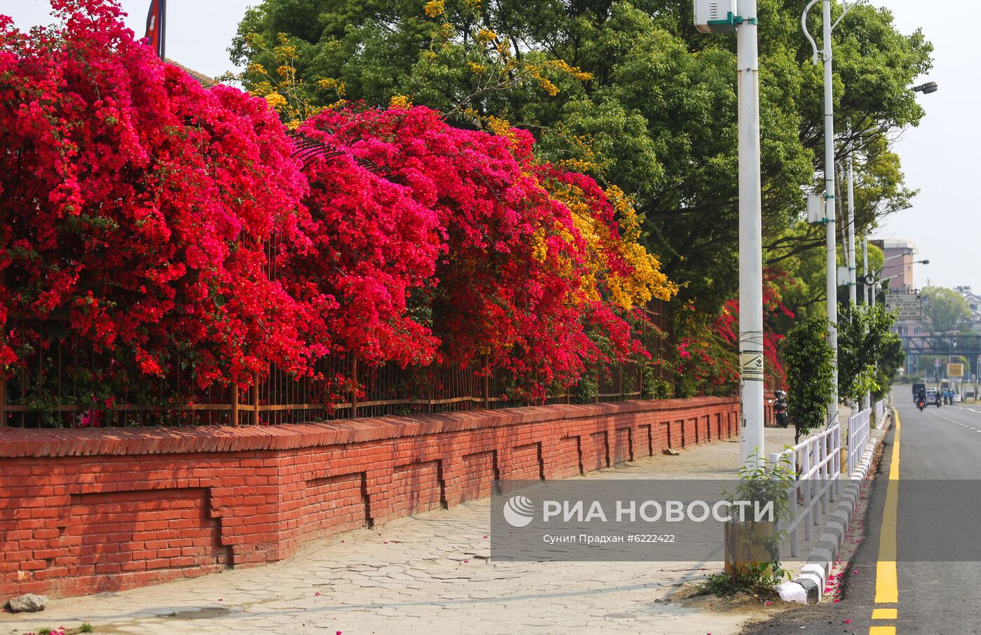 Ситуация в Непале в связи с коронавирусом