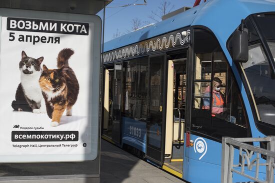 Московский транспорт в условиях режима самоизоляции жителей