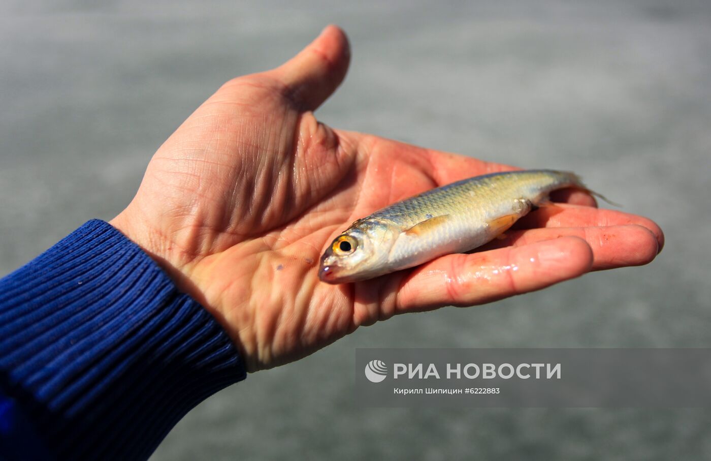 Подледная рыбалка в Иркутске