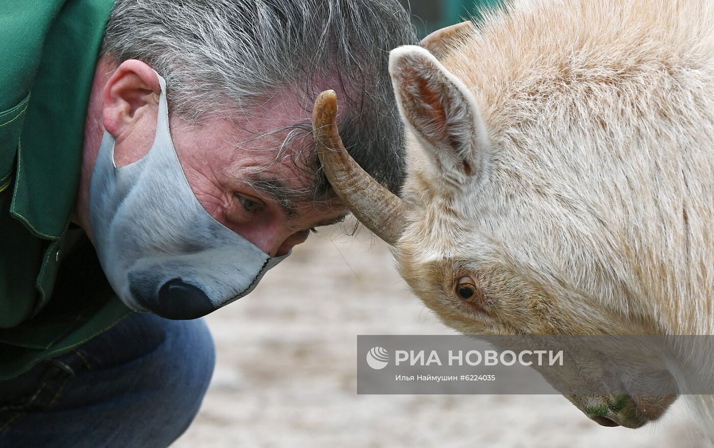 Креативные защитные маски сотрудников зоопарка "Роев ручей"