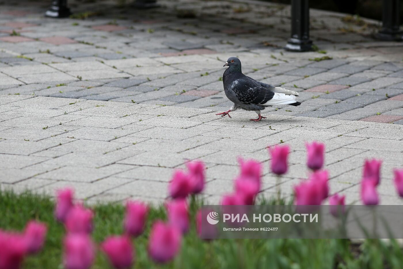 Весна в Краснодарском крае