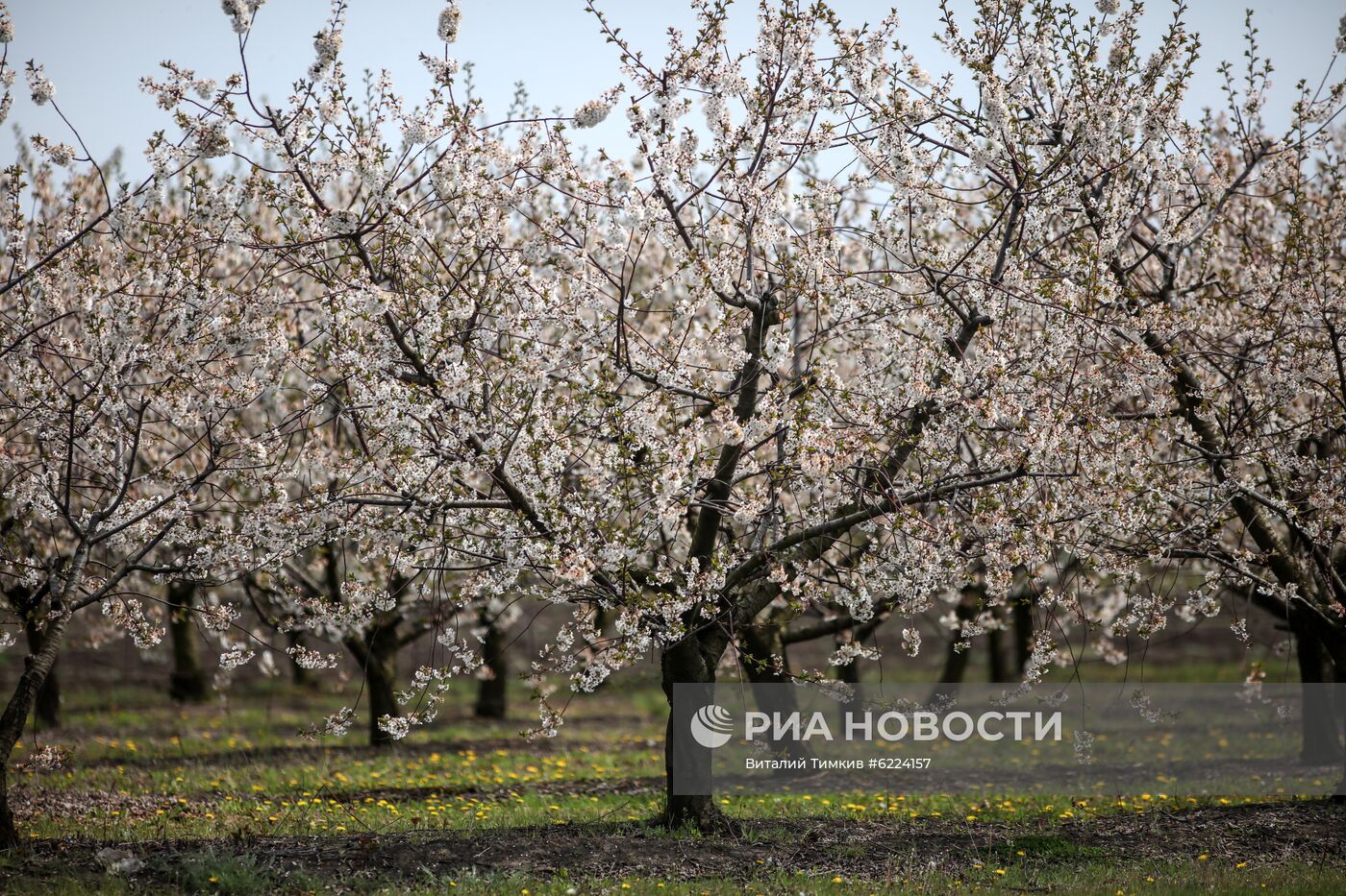 Весна в Краснодарском крае