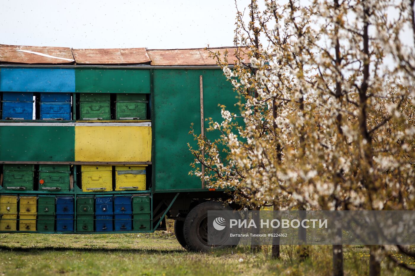 Весна в Краснодарском крае